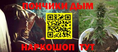крисы Новокубанск