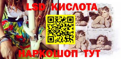 крисы Новокубанск
