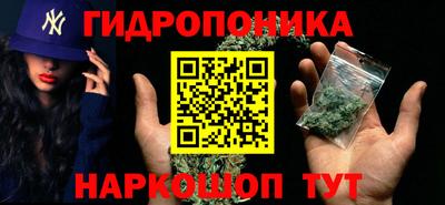 apvp Новодвинск