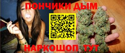 крисы Новокубанск