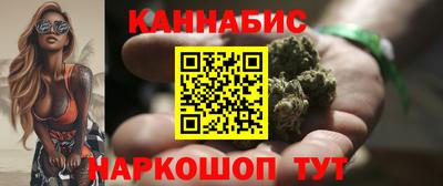 крисы Новокубанск