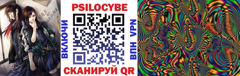 Псилоцибиновые грибы прущие грибы  Петровск 