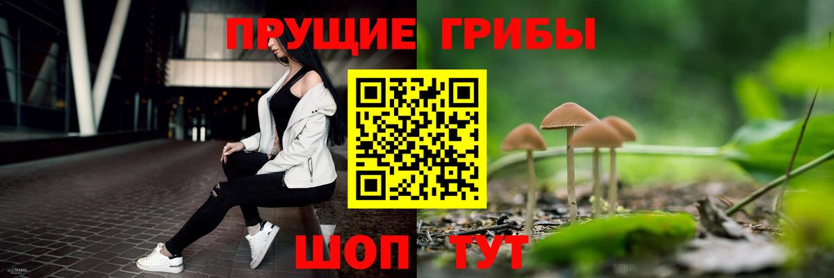 Петровск  Галлюциногенные грибы Magic Shrooms  Вход с VPN 